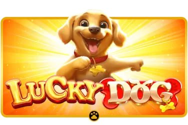 mmy app